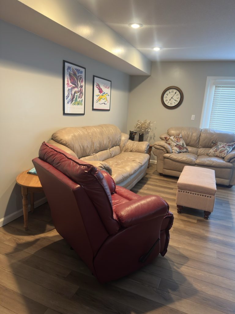 Tidy living room with leather sofas